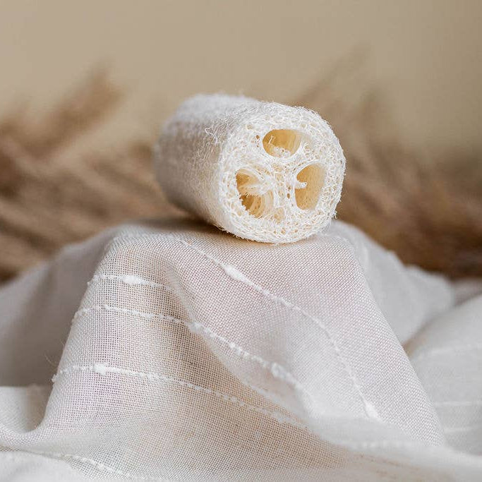 Loofah sponge on a textured fabric surface with a neutral background