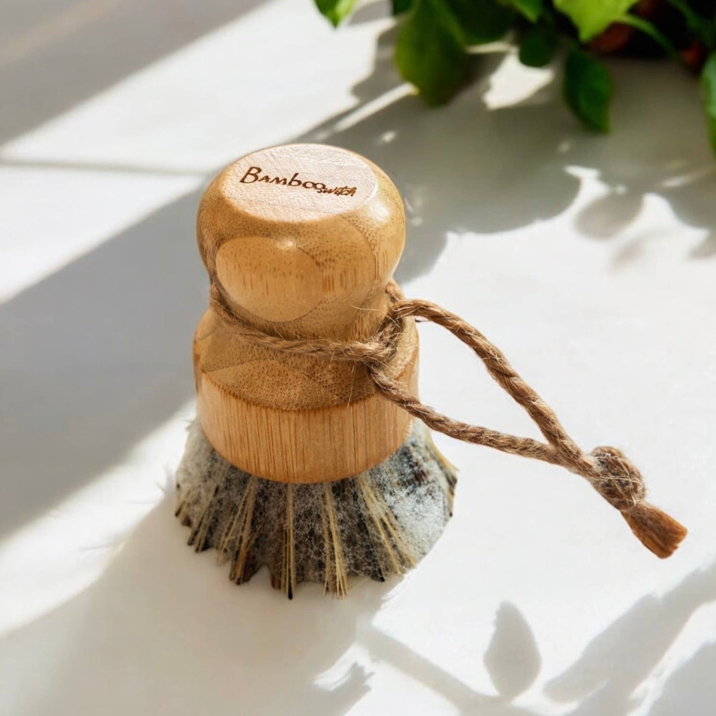 Pot Scrubber Brush
