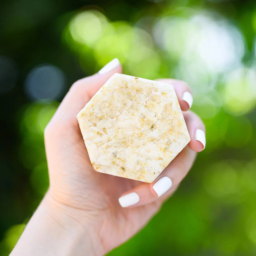 Corvus Beauty Shampoo Bar