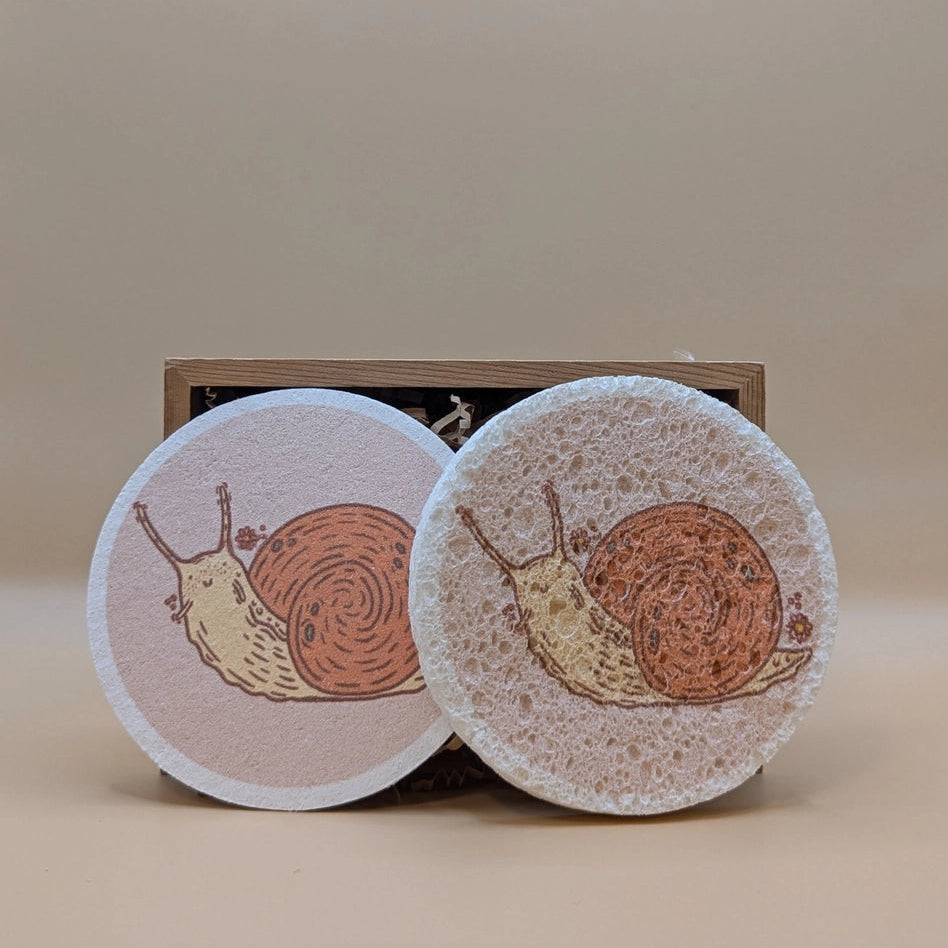 Pop-Up Eco Sponges