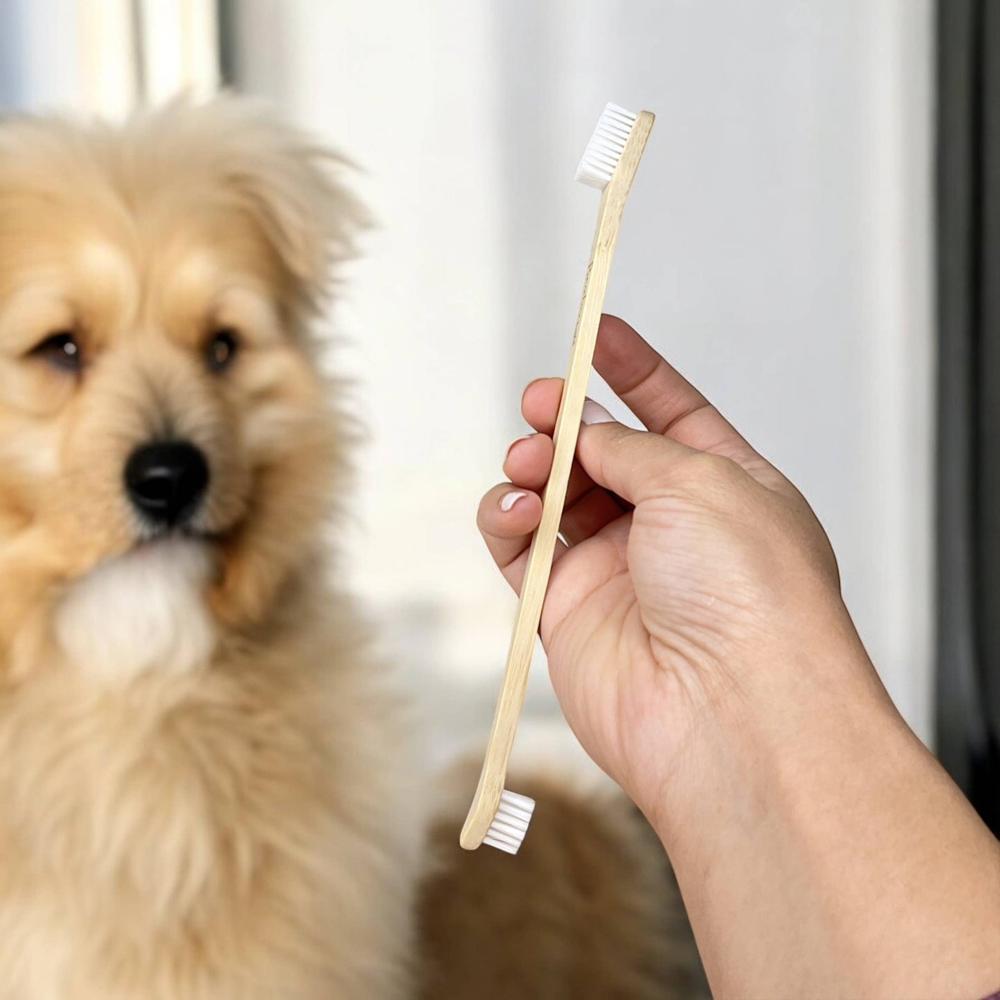 Bamboo Pet Toothbrush