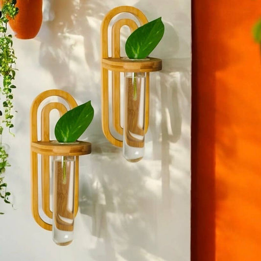 Bamboo Propagation Wall Hanger | Boho Decor