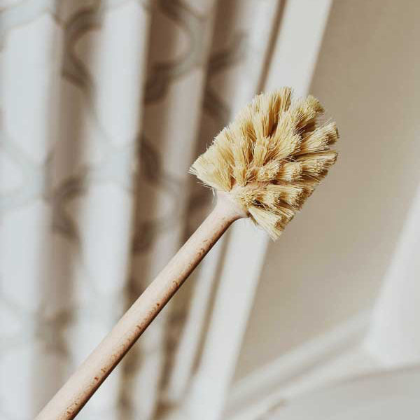 Toilet Brush