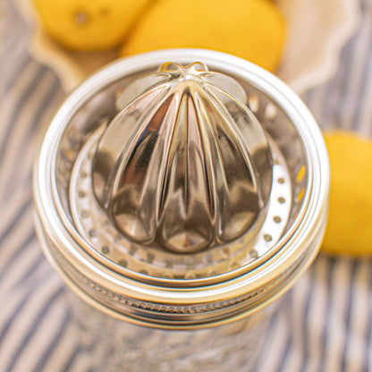 Stainless Steel Juicer - Wide Mouth