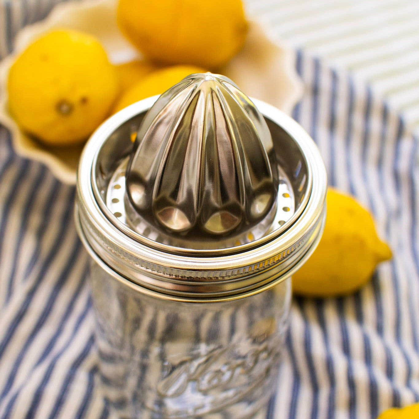 Stainless Steel Juicer - Wide Mouth