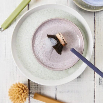 Redecker Dish Brush Replacement Head